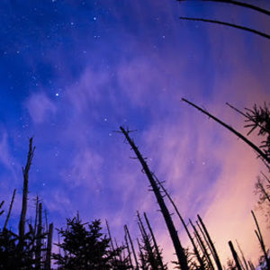 Meet your Posher, Sreelakshmi